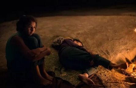 Чудеса природы кадры