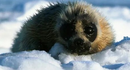 Чудопутешествия Байкал кадры