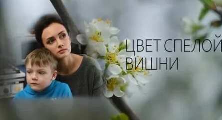 Цвет спелой вишни кадры Цвет спелой вишни кадры