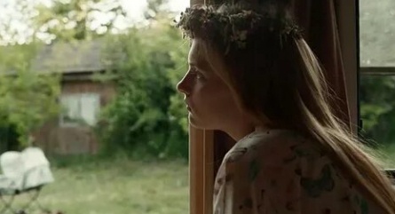 Цветущая долина кадры