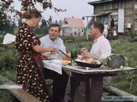 Дачная экспертиза кадры