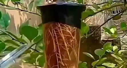 Дачные хитрости кадры Дачные хитрости кадры