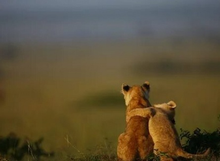 Давайте мириться! кадры