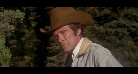 День животных кадры