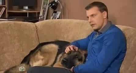Десятка кадры Десятка кадры