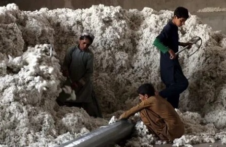 Искусство выживания: Детский труд и отсутствие отца в Индии - как детство превращается в битву за выживание кадры