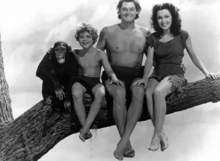 Дикая ярость Тарзана кадры