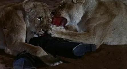 Дикий человек — дикий зверь кадры