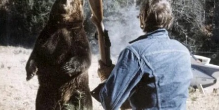 Дневник большого медведя кадры