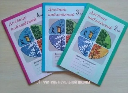 Дневник наблюдений кадры
