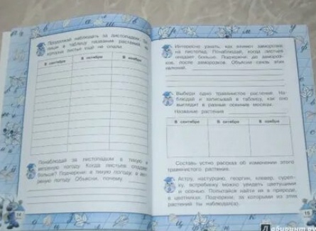 Дневник наблюдений кадры