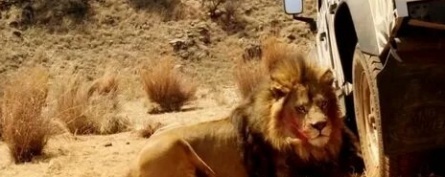 Добыча кадры