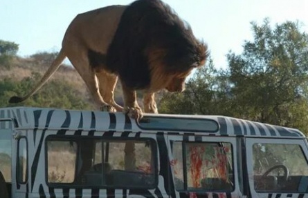 Добыча кадры