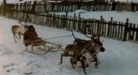 Друг Тыманчи кадры Друг Тыманчи кадры