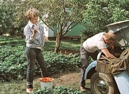 Друзья в огороде кадры