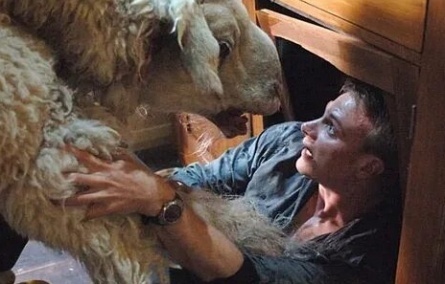 Дуплькич, или Рычание ягнят кадры