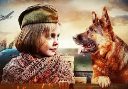 Джульбарс кадры Джульбарс кадры