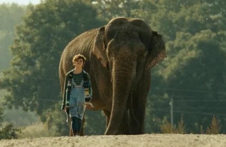 Elephant Joe кадры Elephant Joe кадры