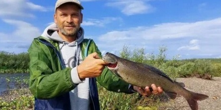 Енисейский хариус в сентябре кадры Енисейский хариус в сентябре кадры