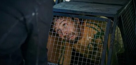 Эвтанайзер кадры Эвтанайзер кадры