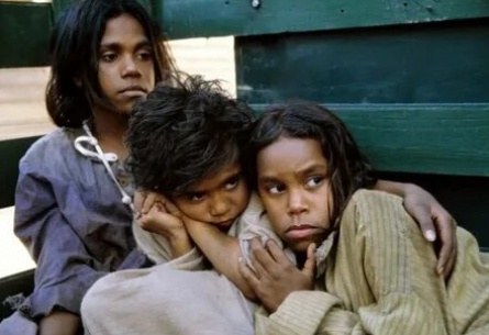 Following the Rabbit-Proof Fence кадры Following the Rabbit-Proof Fence кадры