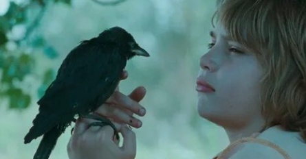 Галчонок кадры Галчонок кадры