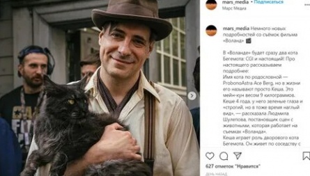 Главные роли принадлежат котам кадры