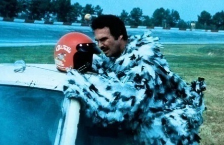 Гонщик Строкер кадры