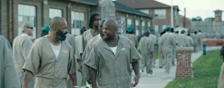 Горькая правда кадры