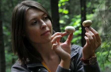 Грибной сезон кадры