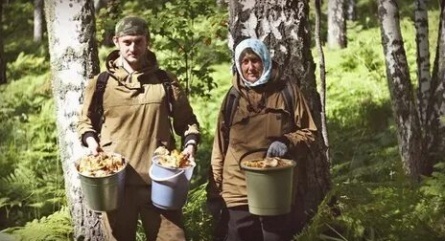 Грибной сезон кадры