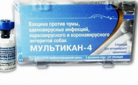 Грядет лента об изобретателе вакцины против чумы кадры