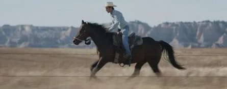 Horse Riders кадры Horse Riders кадры