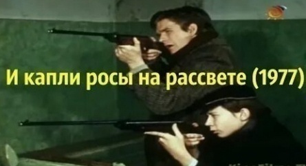 И капли росы на рассвете кадры И капли росы на рассвете кадры
