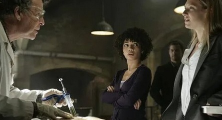 История математики кадры