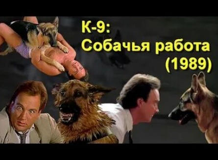 К-9: Собачья работа кадры К-9: Собачья работа кадры