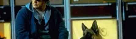 К-9. Собачья работа-3 кадры