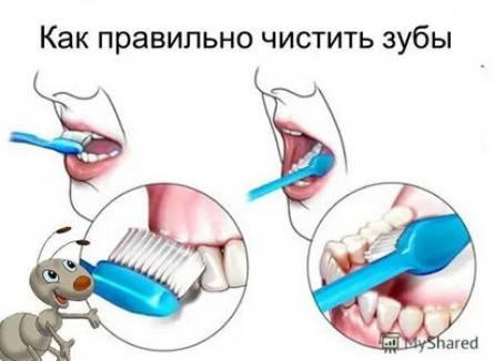 Как правильно чистить зубы? кадры