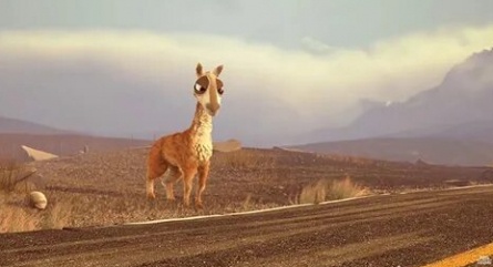 Каминандес Лама Драма кадры