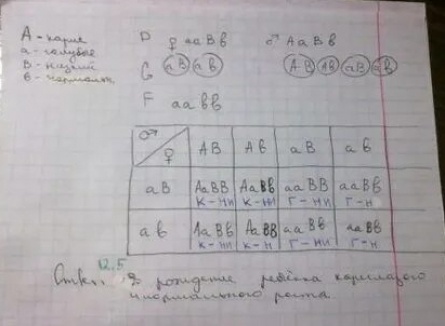 Почему кареглазый малыш у голубоглазых родителей - редкость: научно доказываем вероятность близка к нулю кадры Почему кареглазый малыш у голубоглазых родителей - редкость: научно доказываем вероятность близка к нулю кадры