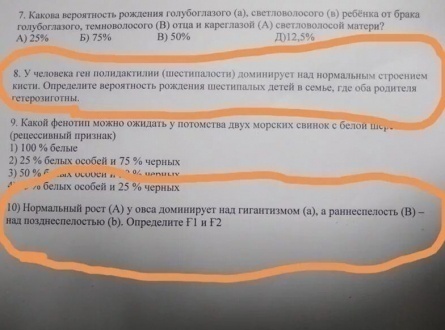 Почему кареглазый малыш у голубоглазых родителей - редкость: научно доказываем вероятность близка к нулю кадры Почему кареглазый малыш у голубоглазых родителей - редкость: научно доказываем вероятность близка к нулю кадры