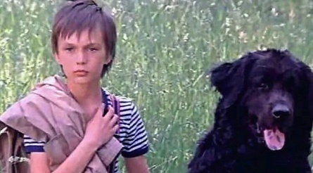 Каждый охотник желает знать... кадры