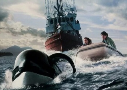 Кейко: Подлинная история Освободите Вилли кадры