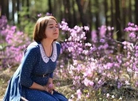 Когда зацветет багульник кадры
