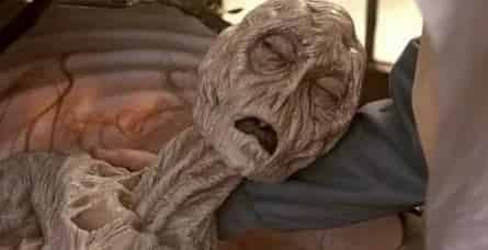 Кокон: Возвращение кадры