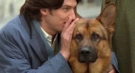 Комиссар Рекс кадры