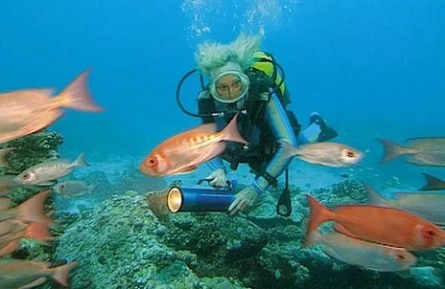 Коралловый рай кадры