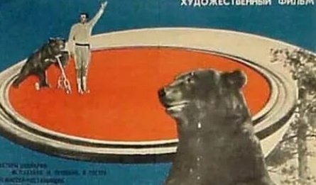 Король манежа кадры Король манежа кадры