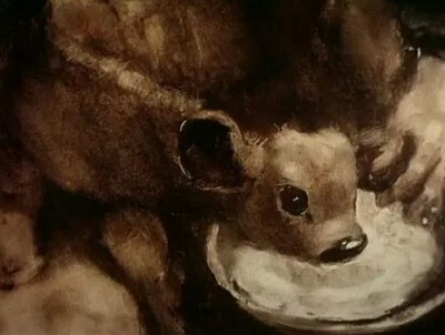 Корова кадры Корова кадры