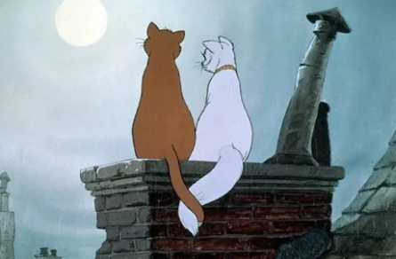 Кошечка, кошечка, я тебя люблю кадры Кошечка, кошечка, я тебя люблю кадры